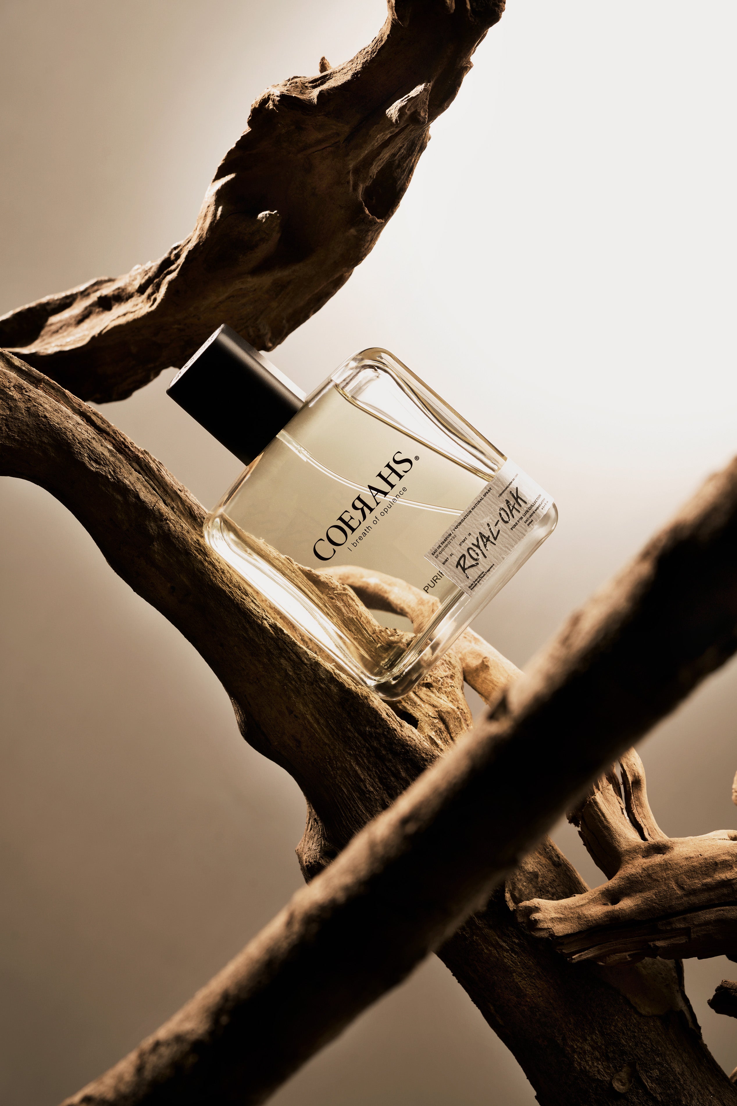ロイヤルオーク ROYAL-OAK