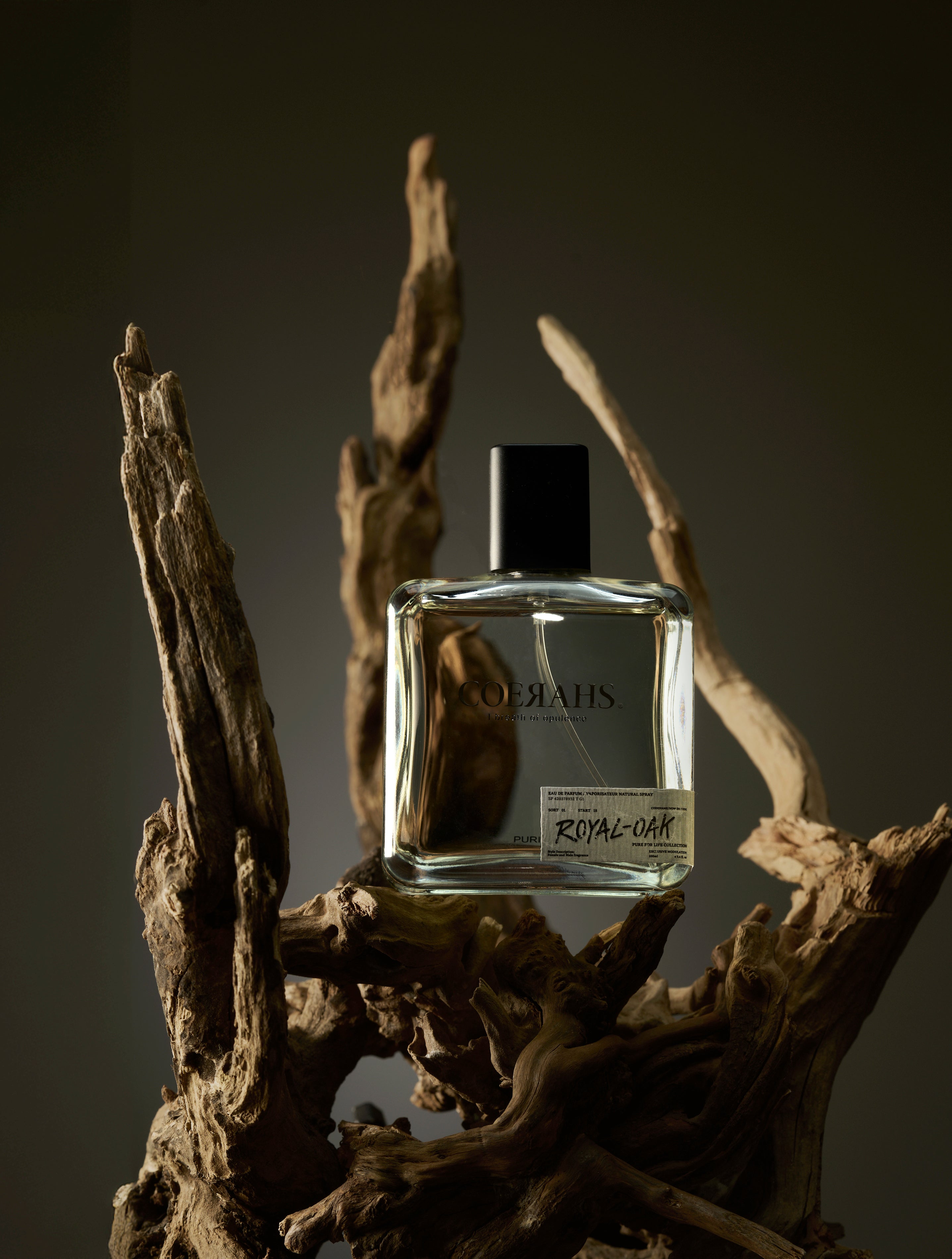 ロイヤルオーク ROYAL-OAK